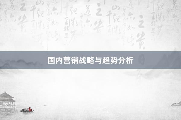 国内营销战略与趋势分析