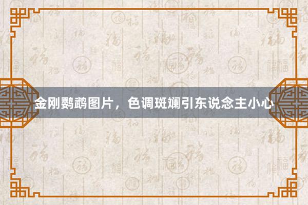 金刚鹦鹉图片，色调斑斓引东说念主小心